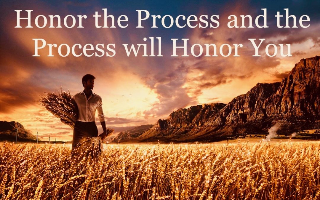 Honor The Process